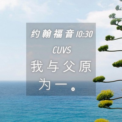 Picture 04 - 约 翰 福 音 10:30 CUVS - 我 与 父 原 为 一 - Bible Verse Picture
