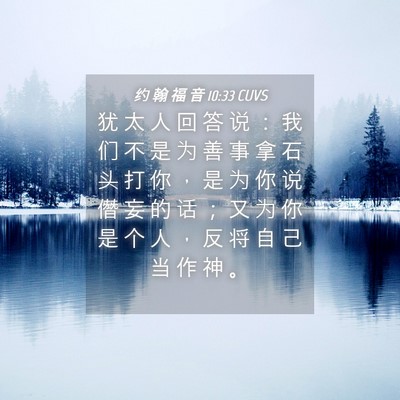 Picture 04 - 约 翰 福 音 10:33 CUVS - 犹 太 人 回 答 说 ： 我 们 不 是 为 - Bible Verse Picture