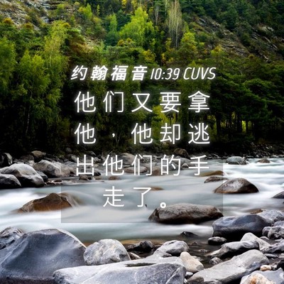 Picture 04 - 约 翰 福 音 10:39 CUVS - 他 们 又 要 拿 他 ， 他 却 逃 出 他 - Bible Verse Picture