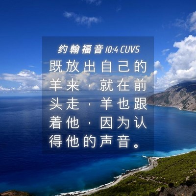 Picture 04 - 约 翰 福 音 10:4 CUVS - 既 放 出 自 己 的 羊 来 ， 就 在 前 - Bible Verse Picture