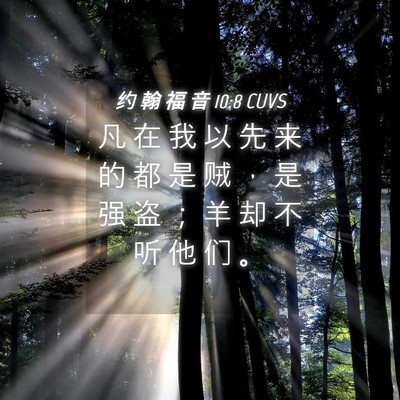 Picture 04 - 约 翰 福 音 10:8 CUVS - 凡 在 我 以 先 来 的 都 是 贼 ， 是 - Bible Verse Picture