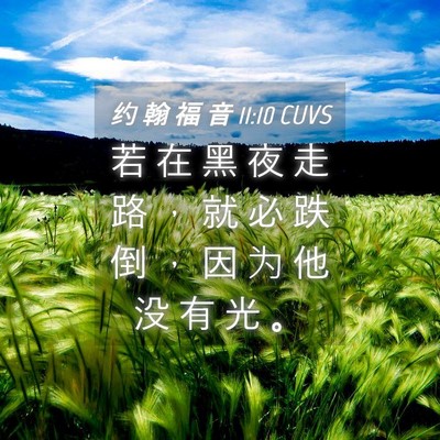 Picture 04 - 约 翰 福 音 11:10 CUVS - 若 在 黑 夜 走 路 ， 就 必 跌 倒 ， - Bible Verse Picture