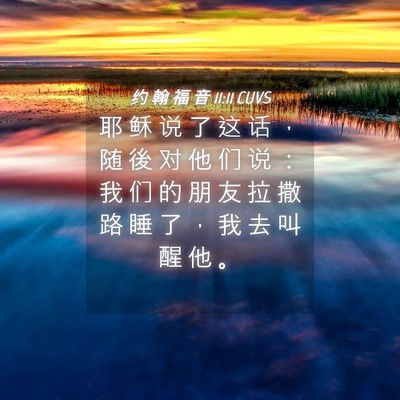 Picture 04 - 约 翰 福 音 11:11 CUVS - 耶 稣 说 了 这 话 ， 随 後 对 他 们 - Bible Verse Picture