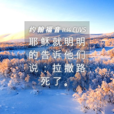 Picture 04 - 约 翰 福 音 11:14 CUVS - 耶 稣 就 明 明 的 告 诉 他 们 说 ： - Bible Verse Picture