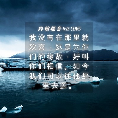 Picture 04 - 约 翰 福 音 11:15 CUVS - 我 没 有 在 那 里 就 欢 喜 ， 这 是 - Bible Verse Picture