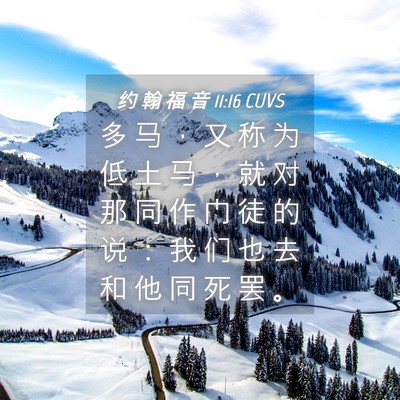 Picture 04 - 约 翰 福 音 11:16 CUVS - 多 马 ， 又 称 为 低 土 马 ， 就 对 - Bible Verse Picture