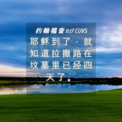 Picture 04 - 约 翰 福 音 11:17 CUVS - 耶 稣 到 了 ， 就 知 道 拉 撒 路 在 - Bible Verse Picture