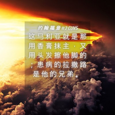 Picture 04 - 约 翰 福 音 11:2 CUVS - 这 马 利 亚 就 是 那 用 香 膏 抹 主 - Bible Verse Picture