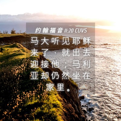 Picture 04 - 约 翰 福 音 11:20 CUVS - 马 大 听 见 耶 稣 来 了 ， 就 出 去 - Bible Verse Picture