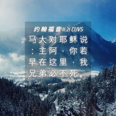 Picture 04 - 约 翰 福 音 11:21 CUVS - 马 大 对 耶 稣 说 ： 主 阿 ， 你 若 - Bible Verse Picture