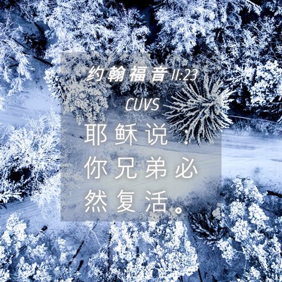 Picture 04 - 约 翰 福 音 11:23 CUVS - 耶 稣 说 ： 你 兄 弟 必 然 复 活 - Bible Verse Picture