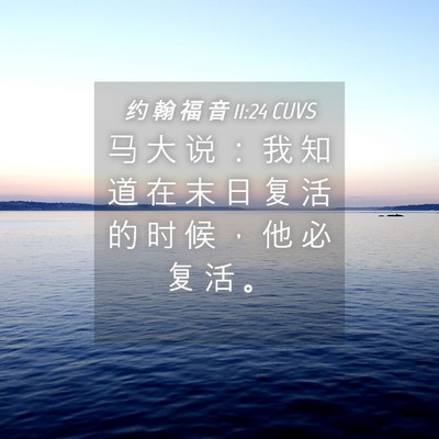 Picture 04 - 约 翰 福 音 11:24 CUVS - 马 大 说 ： 我 知 道 在 末 日 复 活 - Bible Verse Picture