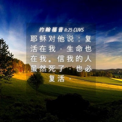 Picture 04 - 约 翰 福 音 11:25 CUVS - 耶 稣 对 他 说 ： 复 活 在 我 ， 生 - Bible Verse Picture