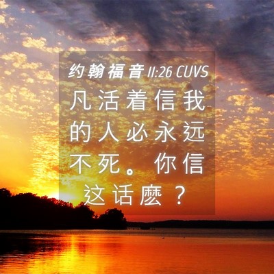 Picture 04 - 约 翰 福 音 11:26 CUVS - 凡 活 着 信 我 的 人 必 永 远 不 死 - Bible Verse Picture