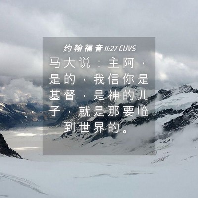 Picture 04 - 约 翰 福 音 11:27 CUVS - 马 大 说 ： 主 阿 ， 是 的 ， 我 信 - Bible Verse Picture