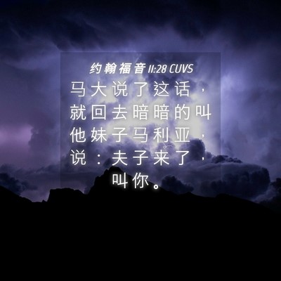 Picture 04 - 约 翰 福 音 11:28 CUVS - 马 大 说 了 这 话 ， 就 回 去 暗 暗 - Bible Verse Picture
