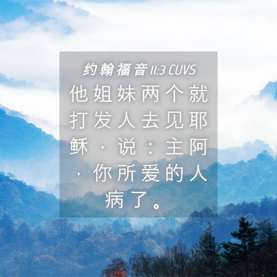 Picture 04 - 约 翰 福 音 11:3 CUVS - 他 姐 妹 两 个 就 打 发 人 去 见 耶 - Bible Verse Picture