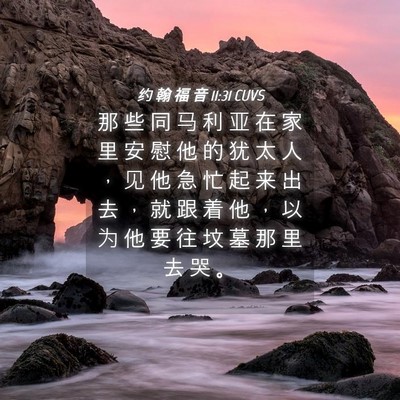 Picture 04 - 约 翰 福 音 11:31 CUVS - 那 些 同 马 利 亚 在 家 里 安 慰 他 - Bible Verse Picture