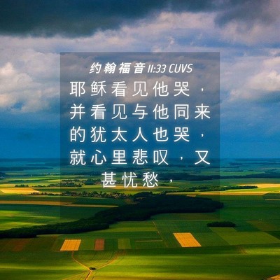 Picture 04 - 约 翰 福 音 11:33 CUVS - 耶 稣 看 见 他 哭 ， 并 看 见 与 他 - Bible Verse Picture