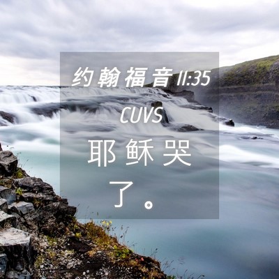 Picture 04 - 约 翰 福 音 11:35 CUVS - 耶 稣 哭 了 - Bible Verse Picture