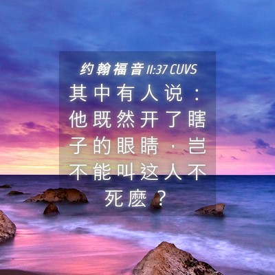 Picture 04 - 约 翰 福 音 11:37 CUVS - 其 中 有 人 说 ： 他 既 然 开 了 瞎 - Bible Verse Picture