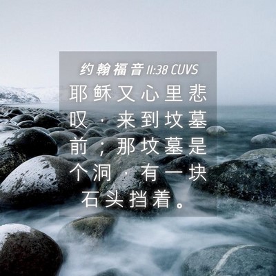 Picture 04 - 约 翰 福 音 11:38 CUVS - 耶 稣 又 心 里 悲 叹 ， 来 到 坟 墓 - Bible Verse Picture