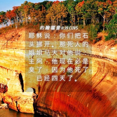 Picture 04 - 约 翰 福 音 11:39 CUVS - 耶 稣 说 ： 你 们 把 石 头 挪 开 。 - Bible Verse Picture