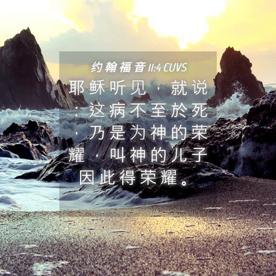 Picture 04 - 约 翰 福 音 11:4 CUVS - 耶 稣 听 见 ， 就 说 ： 这 病 不 至 - Bible Verse Picture