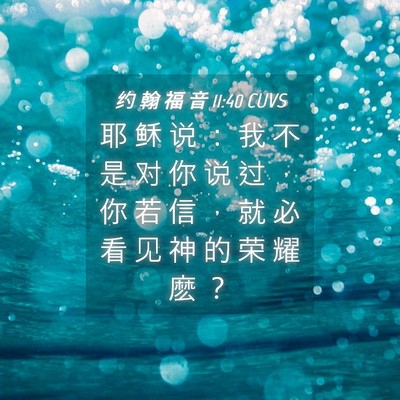 Picture 04 - 约 翰 福 音 11:40 CUVS - 耶 稣 说 ： 我 不 是 对 你 说 过 ， - Bible Verse Picture