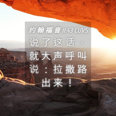 Picture 04 - 约 翰 福 音 11:43 CUVS - 说 了 这 话 ， 就 大 声 呼 叫 说 ： - Bible Verse Picture
