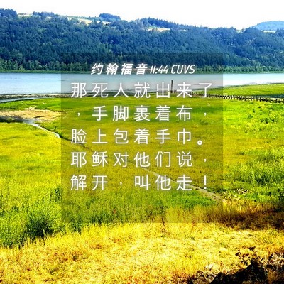Picture 04 - 约 翰 福 音 11:44 CUVS - 那 死 人 就 出 来 了 ， 手 脚 裹 着 - Bible Verse Picture