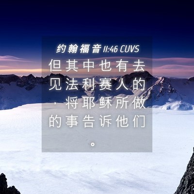 Picture 04 - 约 翰 福 音 11:46 CUVS - 但 其 中 也 有 去 见 法 利 赛 人 的 - Bible Verse Picture