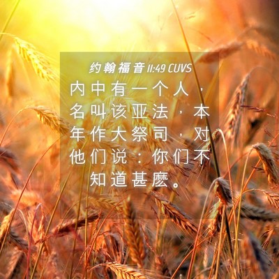 Picture 04 - 约 翰 福 音 11:49 CUVS - 内 中 有 一 个 人 ， 名 叫 该 亚 法 - Bible Verse Picture