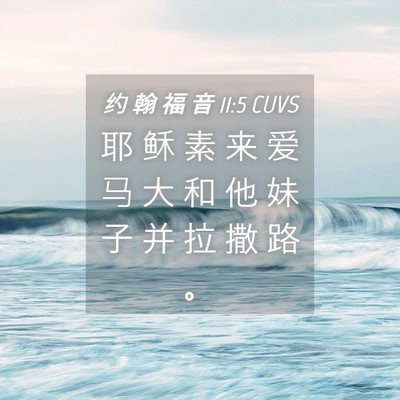 Picture 04 - 约 翰 福 音 11:5 CUVS - 耶 稣 素 来 爱 马 大 和 他 妹 子 并 - Bible Verse Picture