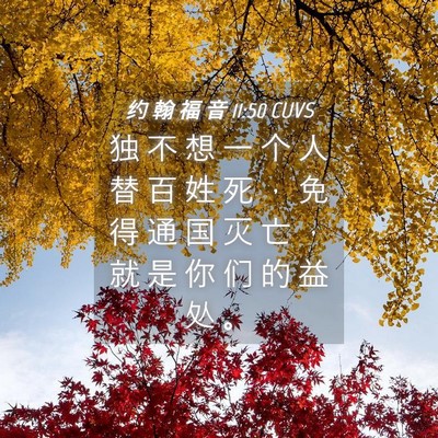 Picture 04 - 约 翰 福 音 11:50 CUVS - 独 不 想 一 个 人 替 百 姓 死 ， 免 - Bible Verse Picture