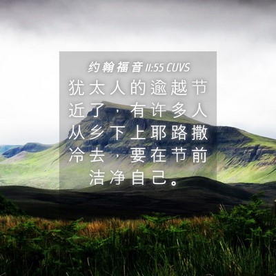 Picture 04 - 约 翰 福 音 11:55 CUVS - 犹 太 人 的 逾 越 节 近 了 ， 有 许 - Bible Verse Picture