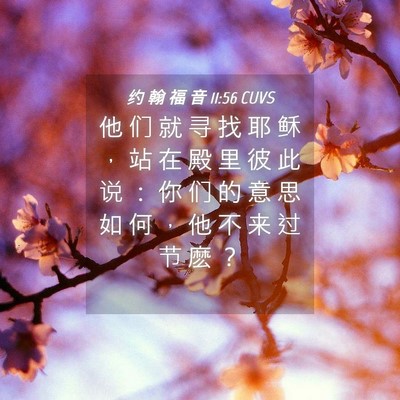Picture 04 - 约 翰 福 音 11:56 CUVS - 他 们 就 寻 找 耶 稣 ， 站 在 殿 里 - Bible Verse Picture
