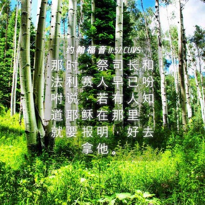 Picture 04 - 约 翰 福 音 11:57 CUVS - 那 时 ， 祭 司 长 和 法 利 赛 人 早 - Bible Verse Picture