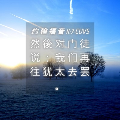 Picture 04 - 约 翰 福 音 11:7 CUVS - 然 後 对 门 徒 说 ： 我 们 再 往 犹 - Bible Verse Picture