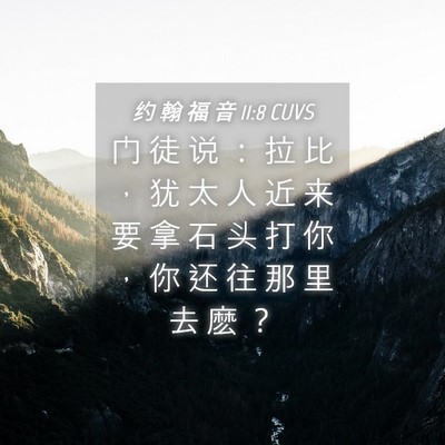 Picture 04 - 约 翰 福 音 11:8 CUVS - 门 徒 说 ： 拉 比 ， 犹 太 人 近 来 - Bible Verse Picture