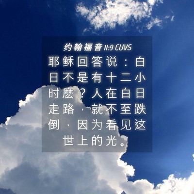 Picture 04 - 约 翰 福 音 11:9 CUVS - 耶 稣 回 答 说 ： 白 日 不 是 有 十 - Bible Verse Picture