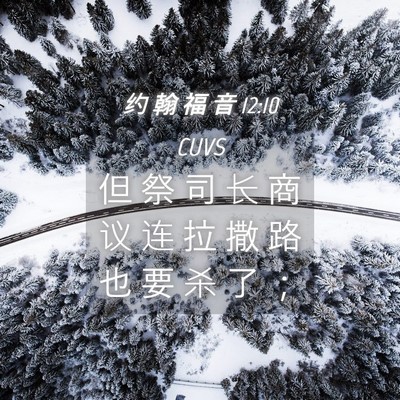 Picture 04 - 约 翰 福 音 12:10 CUVS - 但 祭 司 长 商 议 连 拉 撒 路 也 要 - Bible Verse Picture