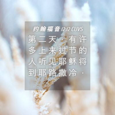 Picture 04 - 约 翰 福 音 12:12 CUVS - 第 二 天 ， 有 许 多 上 来 过 节 的 - Bible Verse Picture