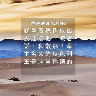 Picture 04 - 约 翰 福 音 12:13 CUVS - 就 拿 着 棕 树 枝 出 去 迎 接 他 ， - Bible Verse Picture