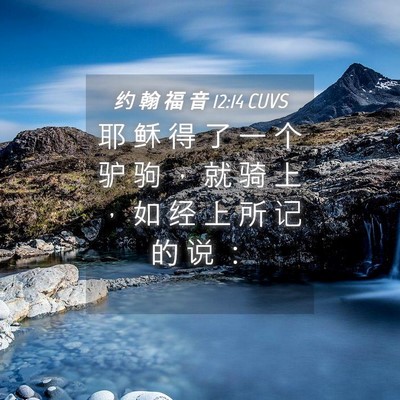 Picture 04 - 约 翰 福 音 12:14 CUVS - 耶 稣 得 了 一 个 驴 驹 ， 就 骑 上 - Bible Verse Picture