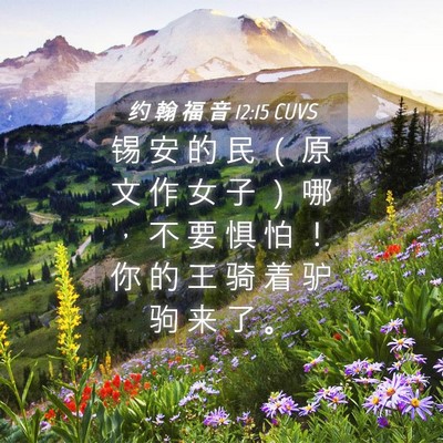 Picture 04 - 约 翰 福 音 12:15 CUVS - 锡 安 的 民 （ 原 文 作 女 子 ） 哪 - Bible Verse Picture