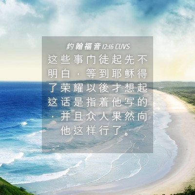 Picture 04 - 约 翰 福 音 12:16 CUVS - 这 些 事 门 徒 起 先 不 明 白 ， 等 - Bible Verse Picture