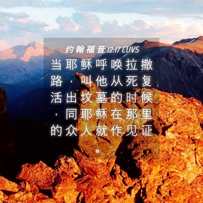 Picture 04 - 约 翰 福 音 12:17 CUVS - 当 耶 稣 呼 唤 拉 撒 路 ， 叫 他 从 - Bible Verse Picture