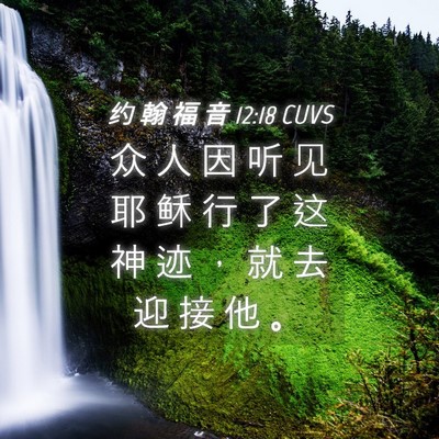Picture 04 - 约 翰 福 音 12:18 CUVS - 众 人 因 听 见 耶 稣 行 了 这 神 迹 - Bible Verse Picture