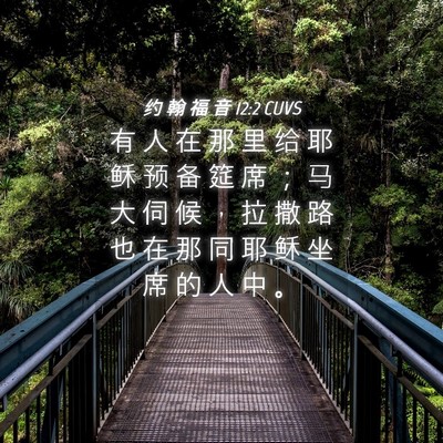 Picture 04 - 约 翰 福 音 12:2 CUVS - 有 人 在 那 里 给 耶 稣 预 备 筵 席 - Bible Verse Picture